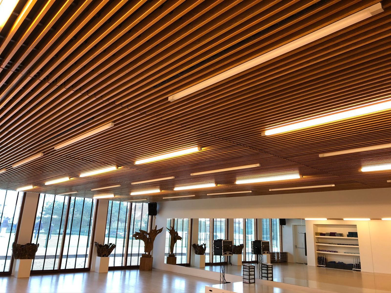 Wellnesscentrum Azzurro met ledlijnverlichting in het houten lamellenplafond